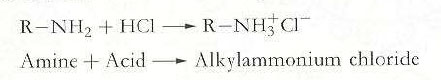 reaction-of-amin-with-Hcl