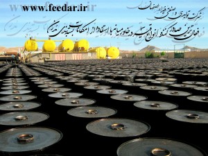 feedar esfahan